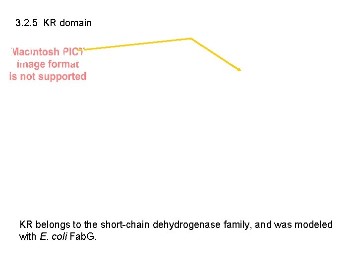 3. 2. 5 KR domain KR belongs to the short-chain dehydrogenase family, and was