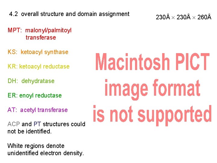 4. 2 overall structure and domain assignment MPT: malonyl/palmitoyl transferase KS: ketoacyl synthase KR: