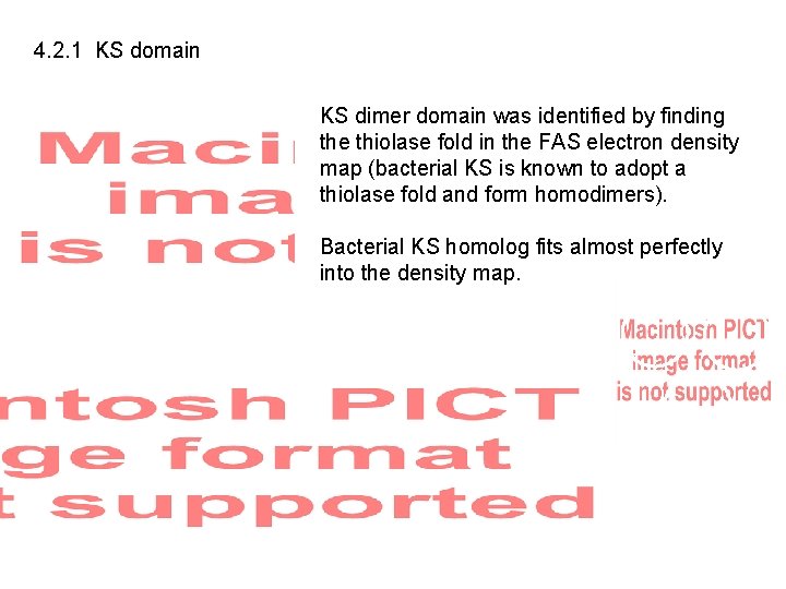 4. 2. 1 KS domain KS dimer domain was identified by finding the thiolase