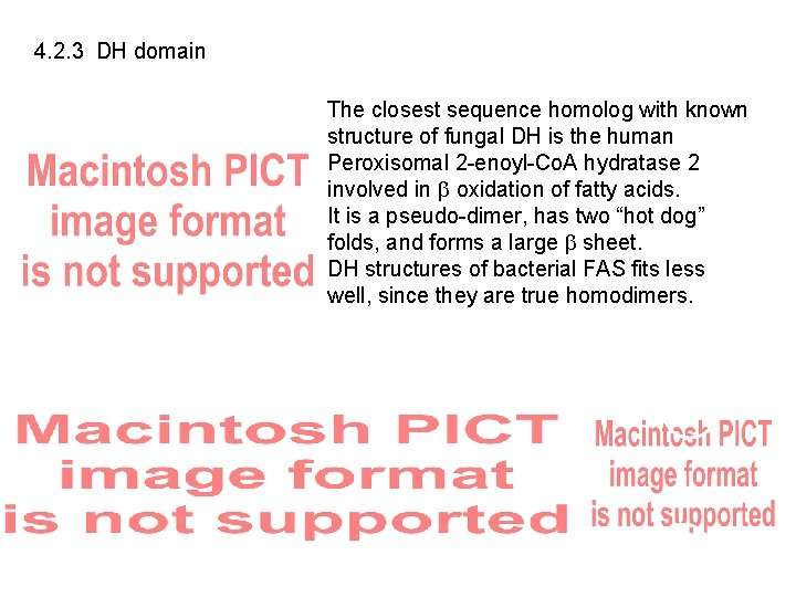 4. 2. 3 DH domain The closest sequence homolog with known structure of fungal