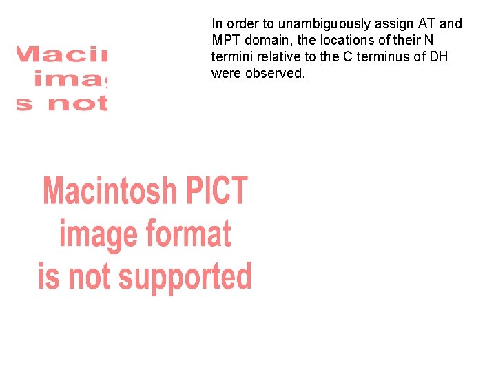 In order to unambiguously assign AT and MPT domain, the locations of their N