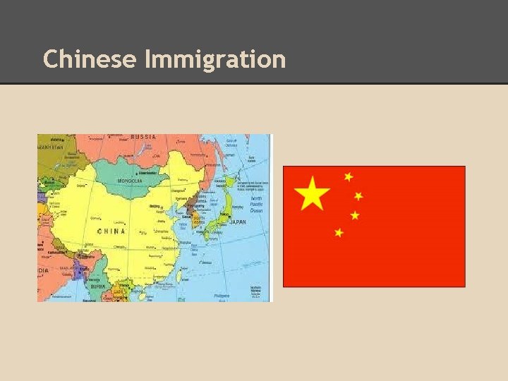 Chinese Immigration 