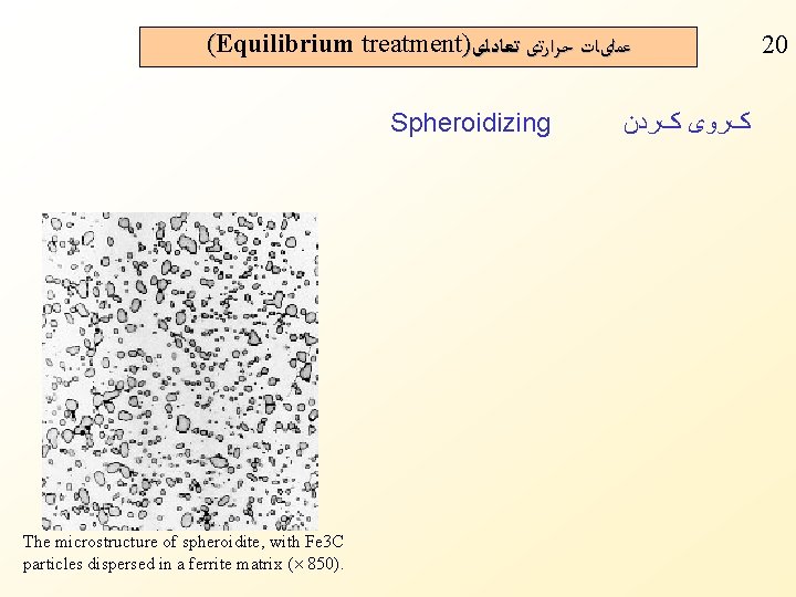 (Equilibrium treatment) ﻋﻤﻠیﺎﺕ ﺣﺮﺍﺭﺗی ﺗﻌﺎﺩﻟی Spheroidizing The microstructure of spheroidite, with Fe 3 C