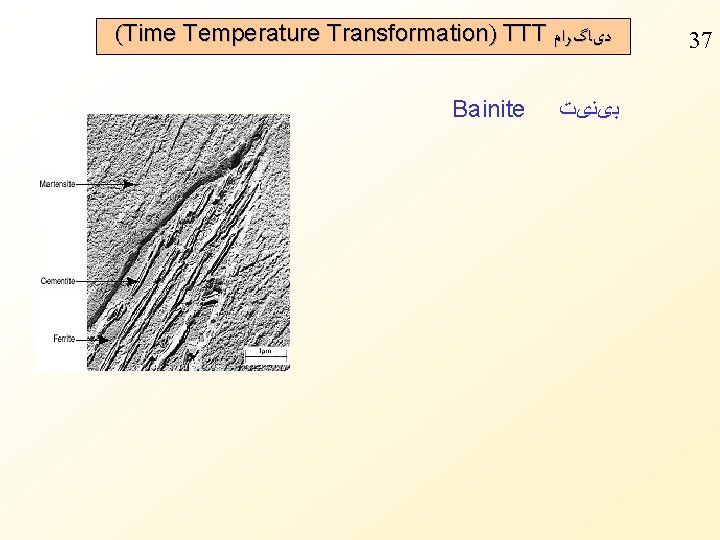 (Time Temperature Transformation) TTT ﺩیﺎگﺮﺍﻡ Bainite ﺑیﻨیﺖ 37 