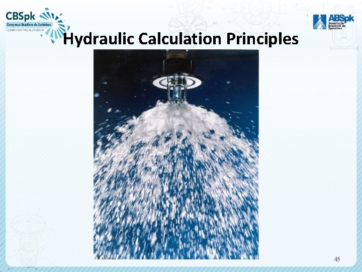 Hydraulic Calculation Principles 45 