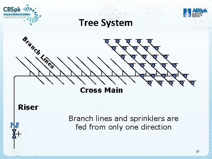 Tree System ch n ra B es n Li Cross Main Riser Branch lines