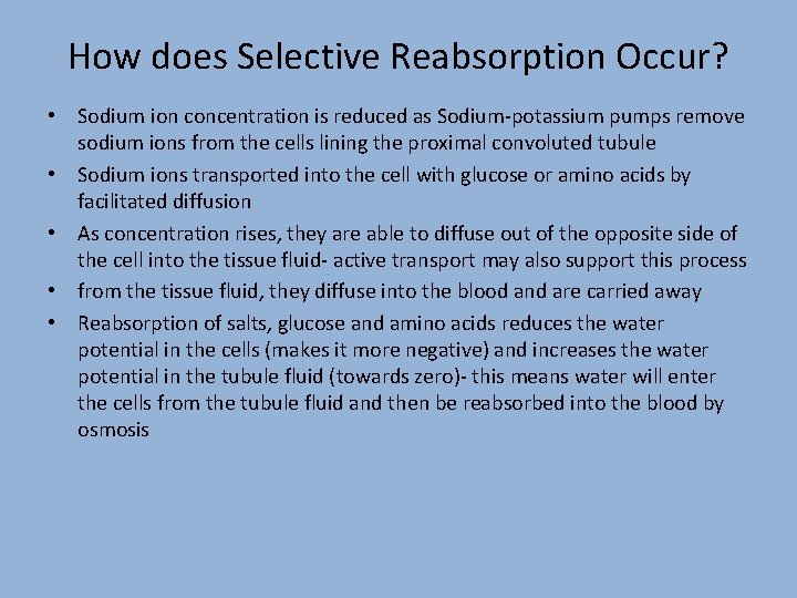 How does Selective Reabsorption Occur? • Sodium ion concentration is reduced as Sodium-potassium pumps