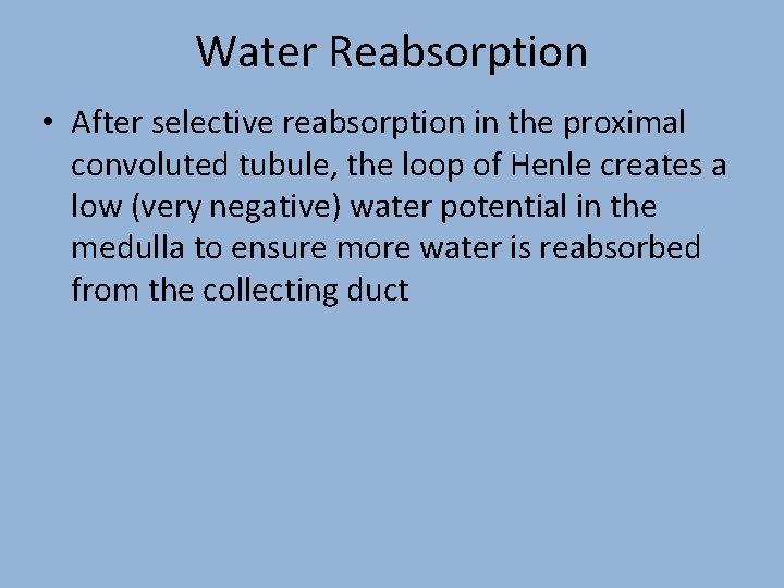 Water Reabsorption • After selective reabsorption in the proximal convoluted tubule, the loop of