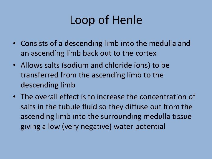 Loop of Henle • Consists of a descending limb into the medulla and an