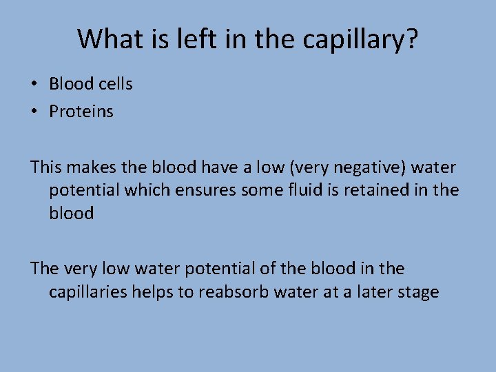 What is left in the capillary? • Blood cells • Proteins This makes the