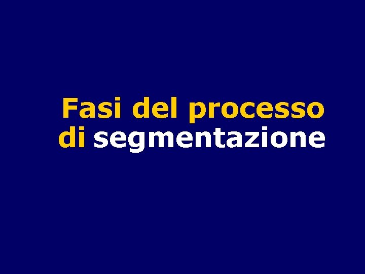 Fasi del processo di segmentazione 