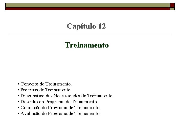  Capítulo 12 Treinamento • Conceito de Treinamento. • Processo de Treinamento. • Diagnóstico