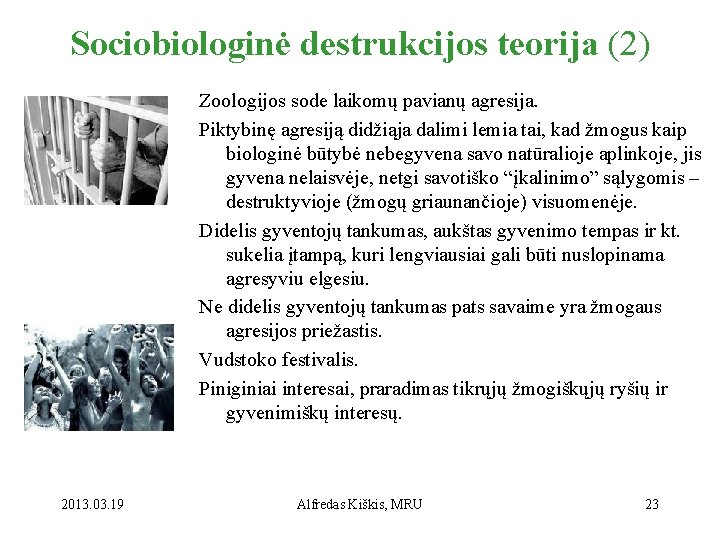 Sociobiologinė destrukcijos teorija (2) Zoologijos sode laikomų pavianų agresija. Piktybinę agresiją didžiąja dalimi lemia