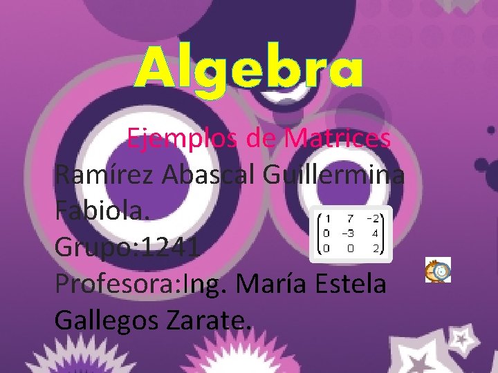 Algebra Ejemplos de Matrices Ramírez Abascal Guillermina Fabiola. Grupo: 1241 Profesora: Ing. María Estela