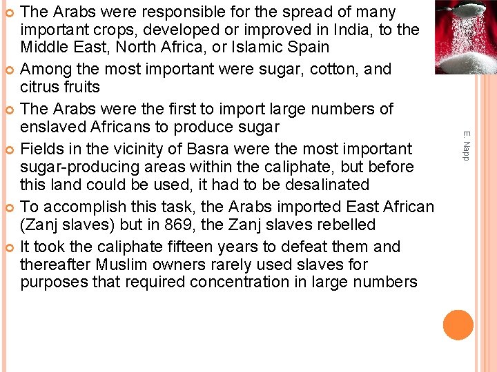 The Arabs were responsible for the spread of many important crops, developed or improved