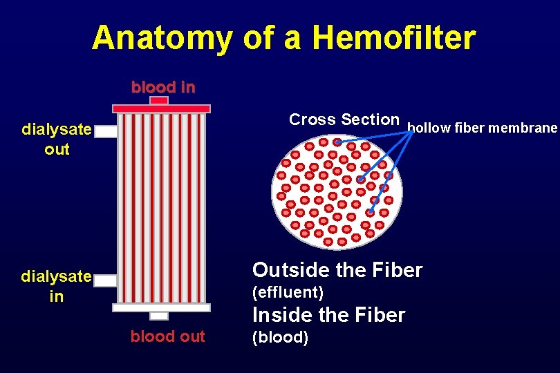 Anatomy of a Hemofilter blood in Cross Section hollow fiber membrane dialysate out Outside