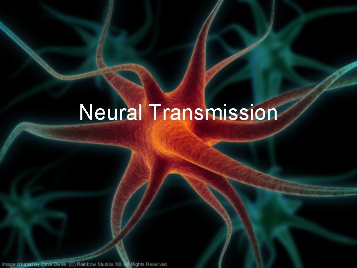Neural Transmission 