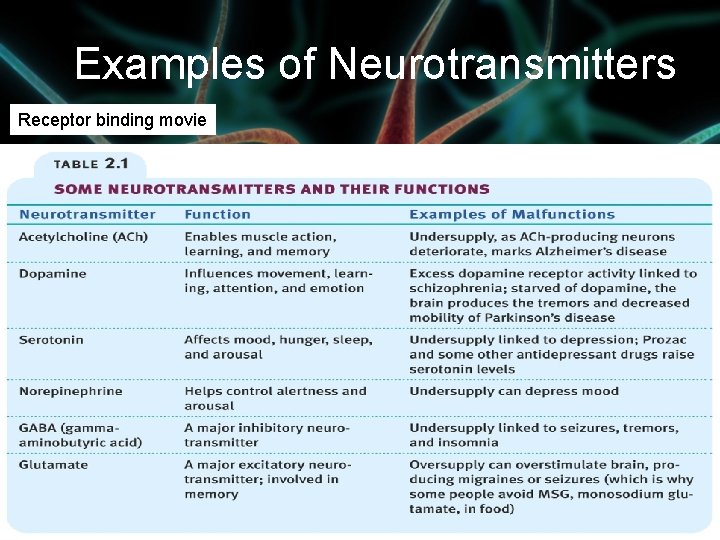 Examples of Neurotransmitters Receptor binding movie 