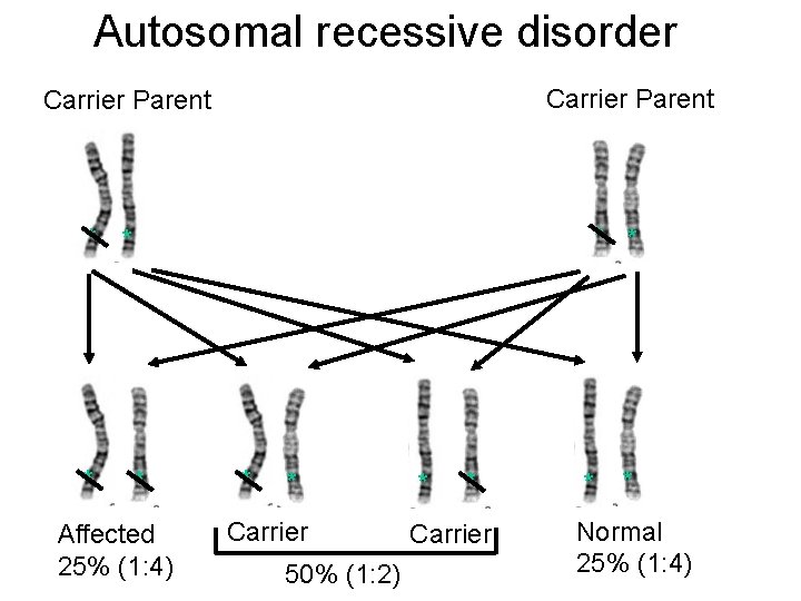 Autosomal recessive disorder Carrier Parent * * * Affected 25% (1: 4) * *