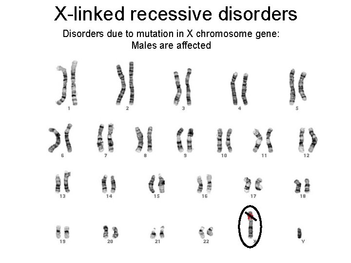 X-linked recessive disorders Disorders due to mutation in X chromosome gene: Males are affected