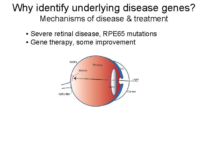 Why identify underlying disease genes? Mechanisms of disease & treatment • Severe retinal disease,