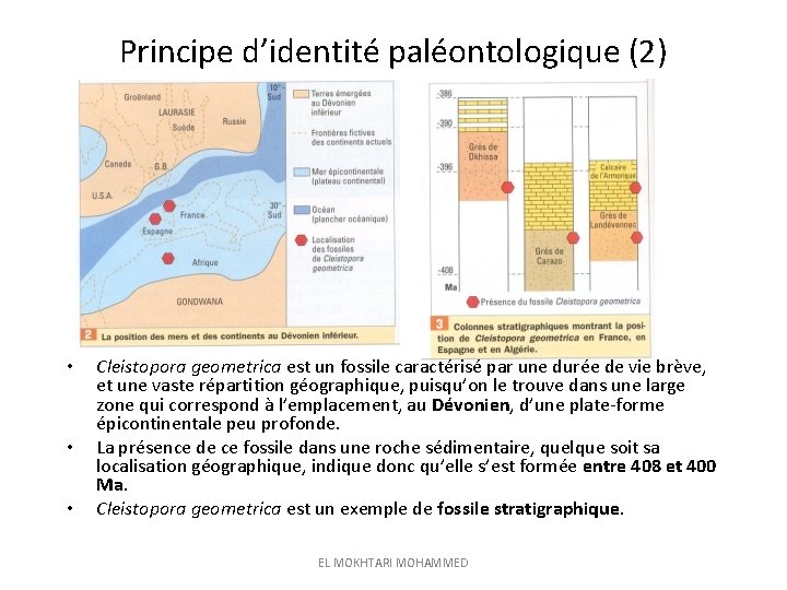 Principe d’identité paléontologique (2) • • • Cleistopora geometrica est un fossile caractérisé par