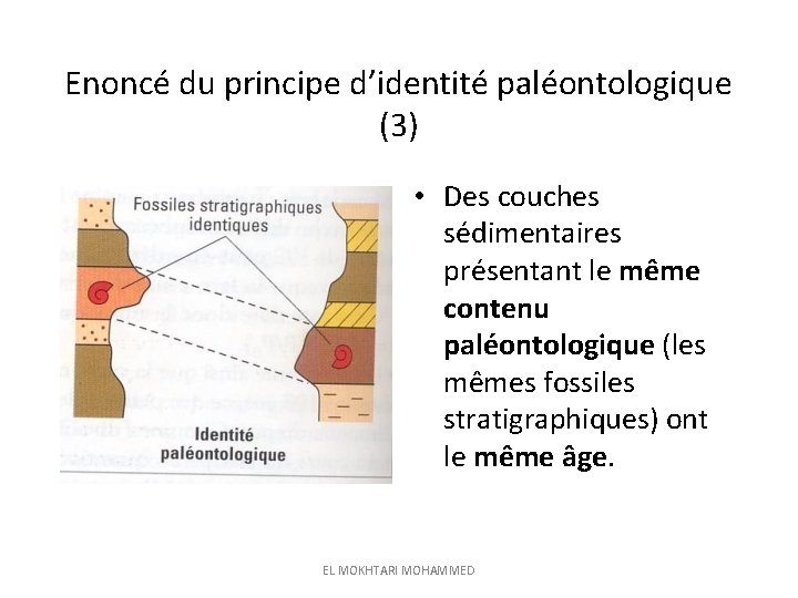 Enoncé du principe d’identité paléontologique (3) • Des couches sédimentaires présentant le même contenu