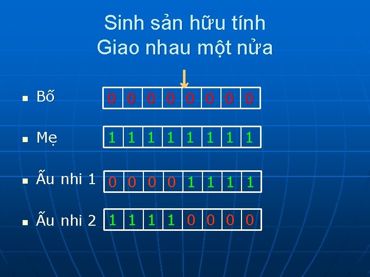 Sinh sản hữu tính Giao nhau một nửa ↓ n Bố 0 0 0