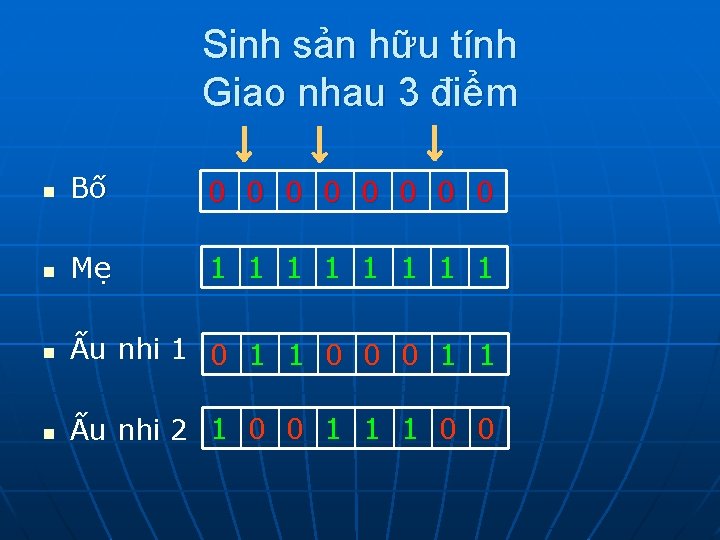 Sinh sản hữu tính Giao nhau 3 điểm ↓ ↓ ↓ n Bố 0