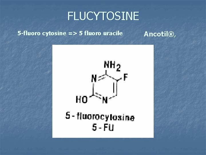 FLUCYTOSINE 5 -fluoro cytosine => 5 fluoro uracile Ancotil®, 