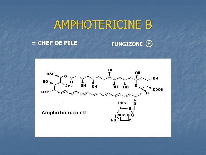 AMPHOTERICINE B = CHEF DE FILE FUNGIZONE ® 