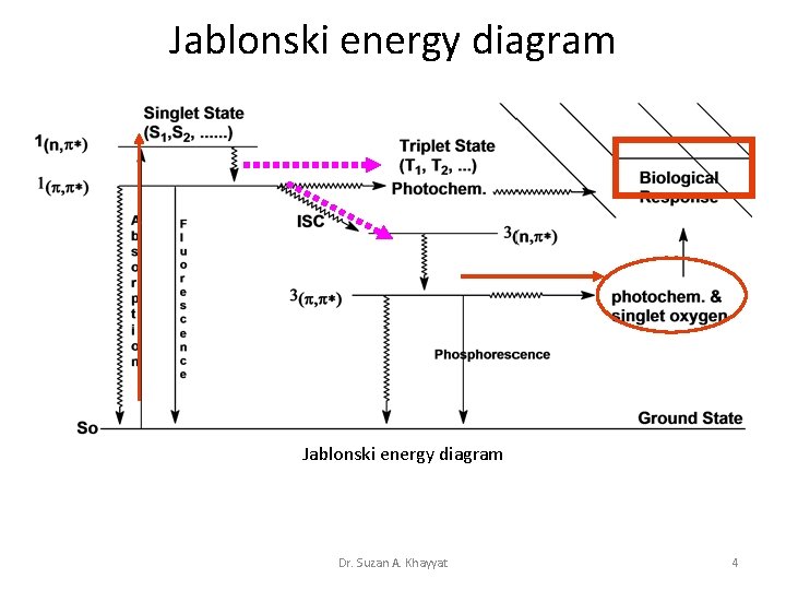 Jablonski energy diagram Dr. Suzan A. Khayyat 4 