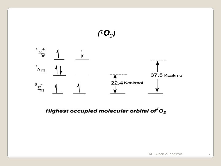 (1 O 2 ) Dr. Suzan A. Khayyat 7 