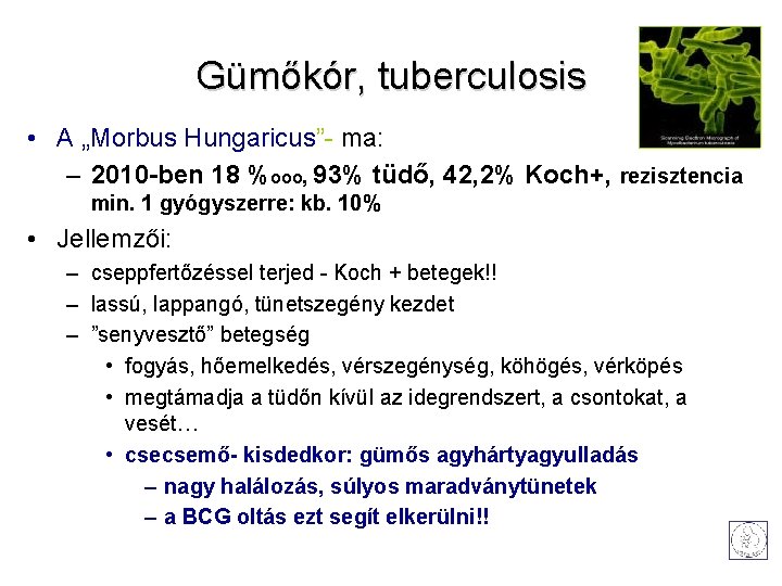 Gümőkór, tuberculosis • A „Morbus Hungaricus”- ma: – 2010 -ben 18 %ooo, 93% tüdő,