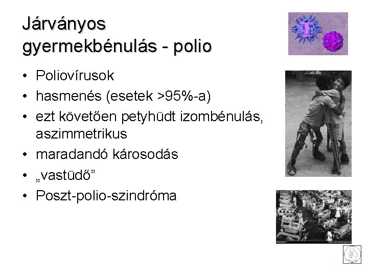 Járványos gyermekbénulás - polio • Poliovírusok • hasmenés (esetek >95%-a) • ezt követően petyhüdt