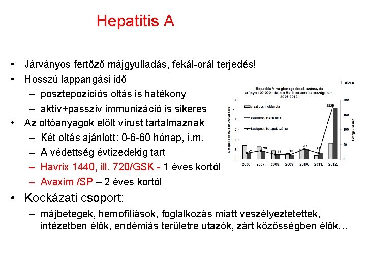 Hepatitis A • Járványos fertőző májgyulladás, fekál-orál terjedés! • Hosszú lappangási idő – posztepozíciós