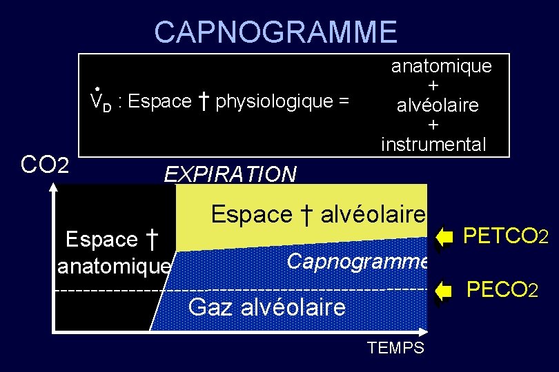 CAPNOGRAMME CO 2 anatomique + VD : Espace † physiologique = alvéolaire + instrumental