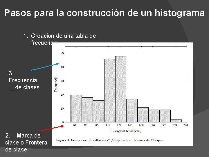 Pasos para la construcción de un histograma 1. Creación de una tabla de frecuencia Pasos para la construcción de un histograma 1. Creación de una tabla de frecuencia
