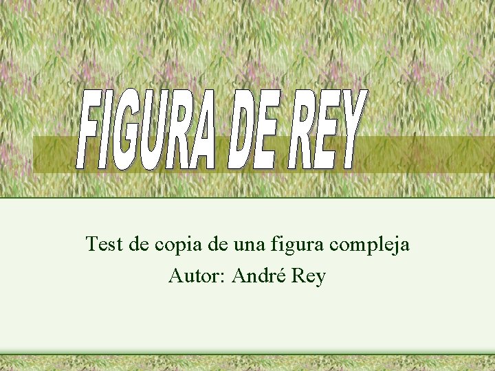 Test de copia de una figura compleja Autor: André Rey 