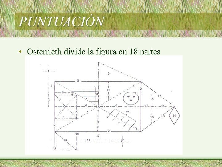 PUNTUACIÓN • Osterrieth divide la figura en 18 partes 