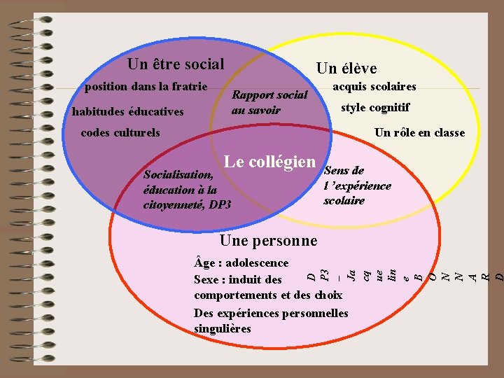 Un être social position dans la fratrie Un élève Rapport social au savoir habitudes