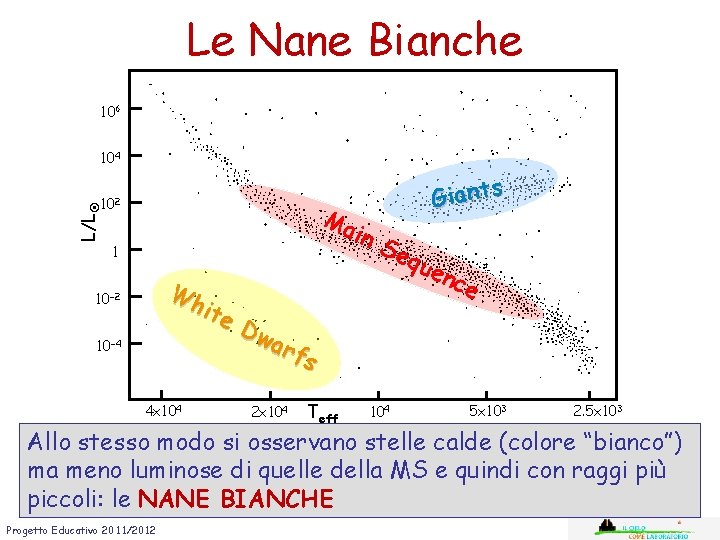 Le Nane Bianche 106 104 L/L 102 Ma 1 Wh ite Dw arf s Le Nane Bianche 106 104 L/L 102 Ma 1 Wh ite Dw arf s
