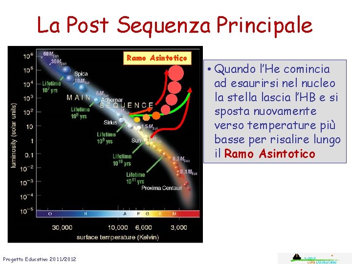 La Post Sequenza Principale Ramo Asintotico Progetto Educativo 2011/2012 • Quando l’He comincia ad