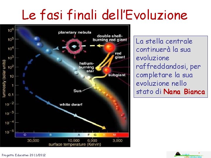 Le fasi finali dell’Evoluzione La stella centrale continuerà la sua evoluzione raffreddandosi, per completare