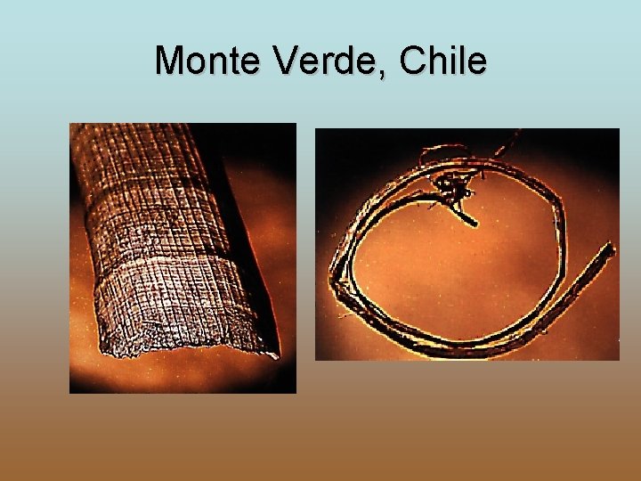 Monte Verde, Chile 