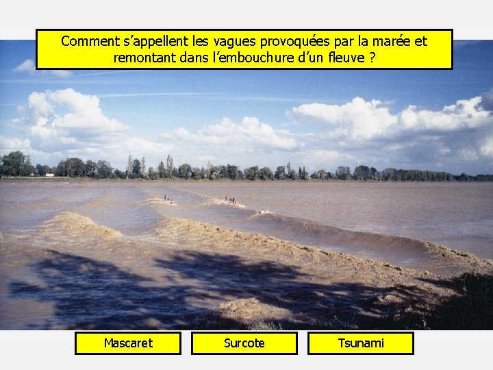 Comment s’appellent les vagues provoquées par la marée et remontant dans l’embouchure d’un fleuve