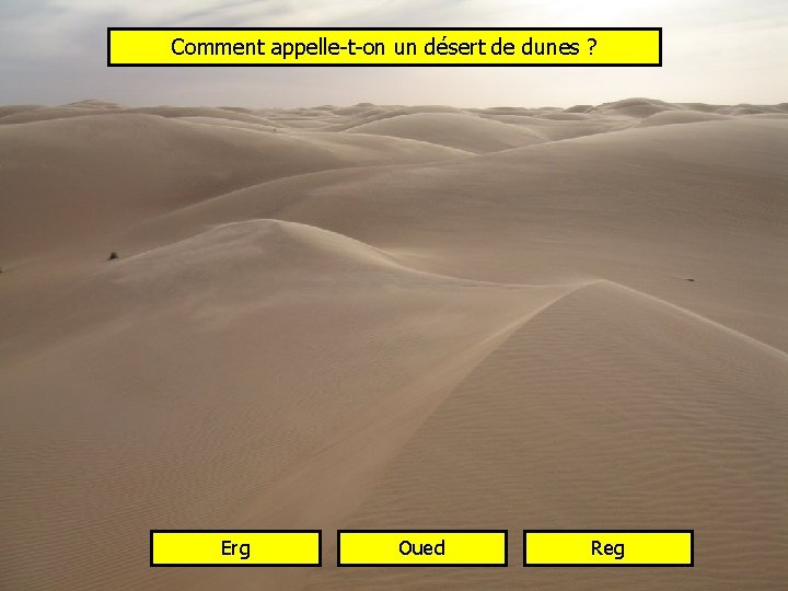 Comment appelle-t-on un désert de dunes ? Erg Oued Reg 