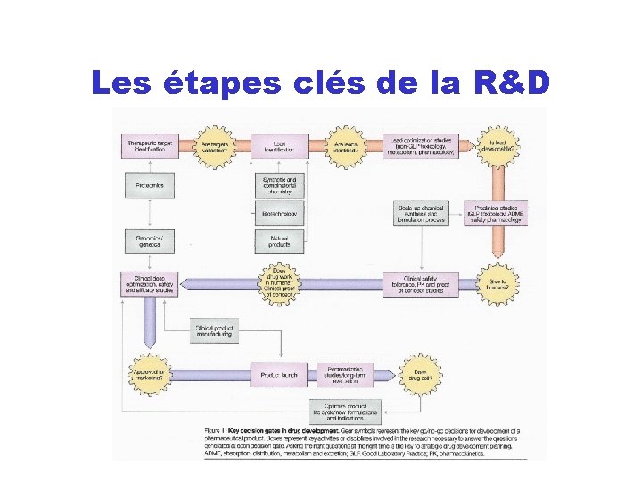 Les étapes clés de la R&D 