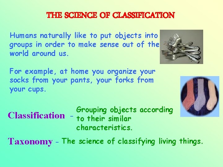 THE SCIENCE OF CLASSIFICATION Humans naturally like to put objects into groups in order