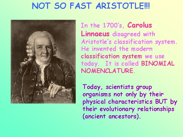 NOT SO FAST ARISTOTLE!!! In the 1700’s, Carolus Linnaeus disagreed with Aristotle’s classification system.